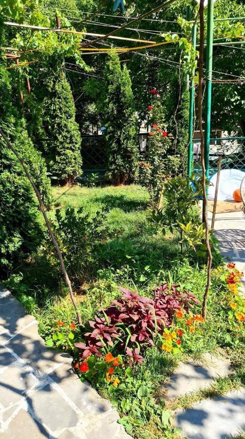 Guest House Casa Borjomi Ngoại thất bức ảnh